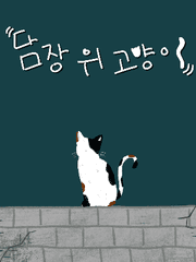 담장 위 고양이