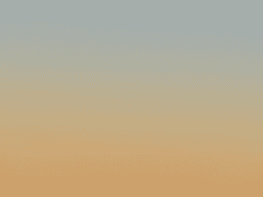 5/26일 새싹 일기 - 아이러니