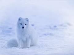 미즈야 AU_캐프로필