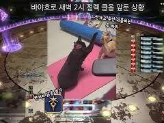 신부님 되러가는 우리 나이트