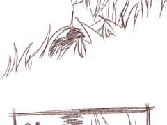 아나이스 ㅡ 원래세계