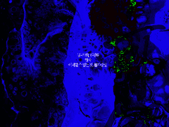 [문대청려] 불가해 01