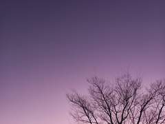 인연, 약속 그리고 사탕