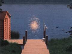 Todd Roberson / ( 외관 ) 32 / XY