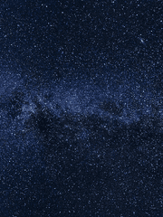 젊은 정신병자의 슬픔