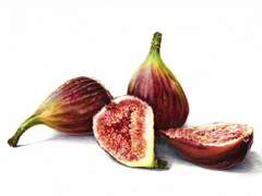 사랑하는 히나, 나의 하나 04