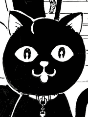 도리벤캐들 사주보려고 돗자리핌