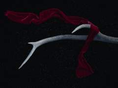 싫어한다는 건 어떤 의미인데?