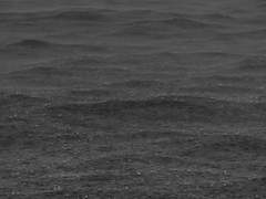 [시목동재] 강우시 출입금지