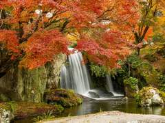 이제는 없는 사람