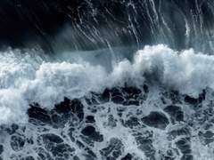 우리에게 일주일의 시간을 - 이지언