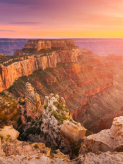 하모니어스 왕국의 늑대