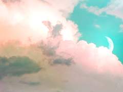 きしはた うづ / 19 / xx