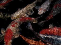 으레 가진 낭만은