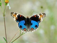 저토록 가벼운/이도은