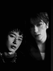 우연 혹은 필연