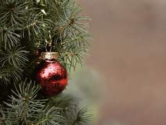 [Onepice] 크리스마스 전야_4제