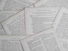 명'탐정 조수' 마리아 씨의 일일