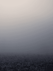 세포신곡 기반캐릭터