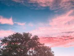 당신에게 주는 두 번째 선물은 나.