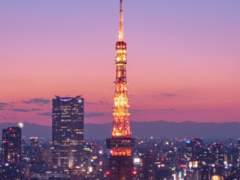 도서관의 악어새