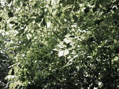 같은 반 이상한 놈