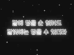 달에 닿을 순 없어도 달빛에는 닿을 수 있더라