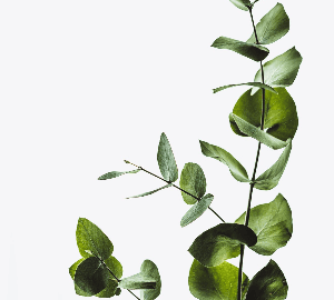 참을 수 없는 존재