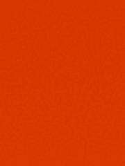 죽여줘, 아프게해줘, 사랑해줘. (BL)