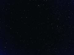 어떻게 생각해?