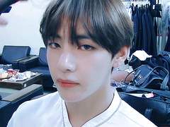 태태를 돌려줘.