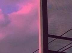 홍 해나 XX 3-B 철학부