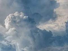 겁쟁이는 盟誓했다.