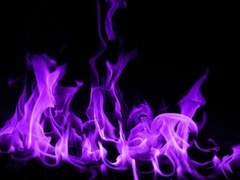 행복해지는 방법