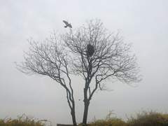 시간, 아픈/정 서