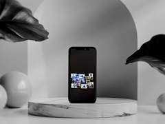 𝙂𝙤𝙤𝙨𝙚𝙗𝙪𝙢𝙥𝙨!