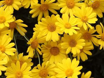 [우즈탄]좋은 날