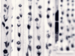 다들 잘 놀고 있어?