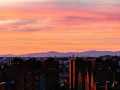 도서관의 악어새