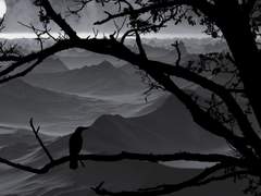 거짓말쟁이의 진실