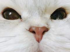 언젠간 다가올 날