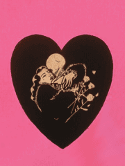 Rosa chinensis S 루트.