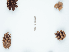 돌이킬 수 있는