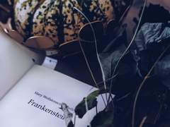 殘虐無道한 決定論