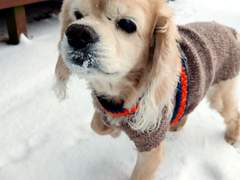 우리가 서로/이도은