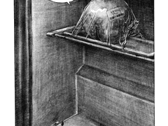 펜뚜껑과 실핀의 모험 2화