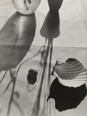 고르기에서 단편글로