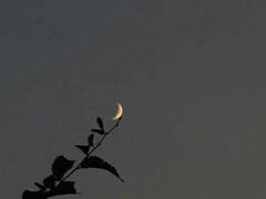 겨울을 앞둔 미틈달의 마지막 날.