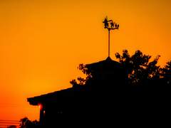 살아간다는 것은