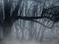 [일라나입] 썩은 심장을 담은 그릇 로그 백업!